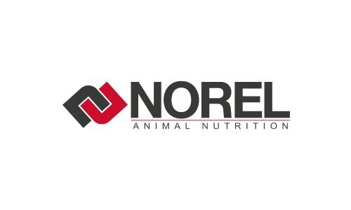 C-Norel